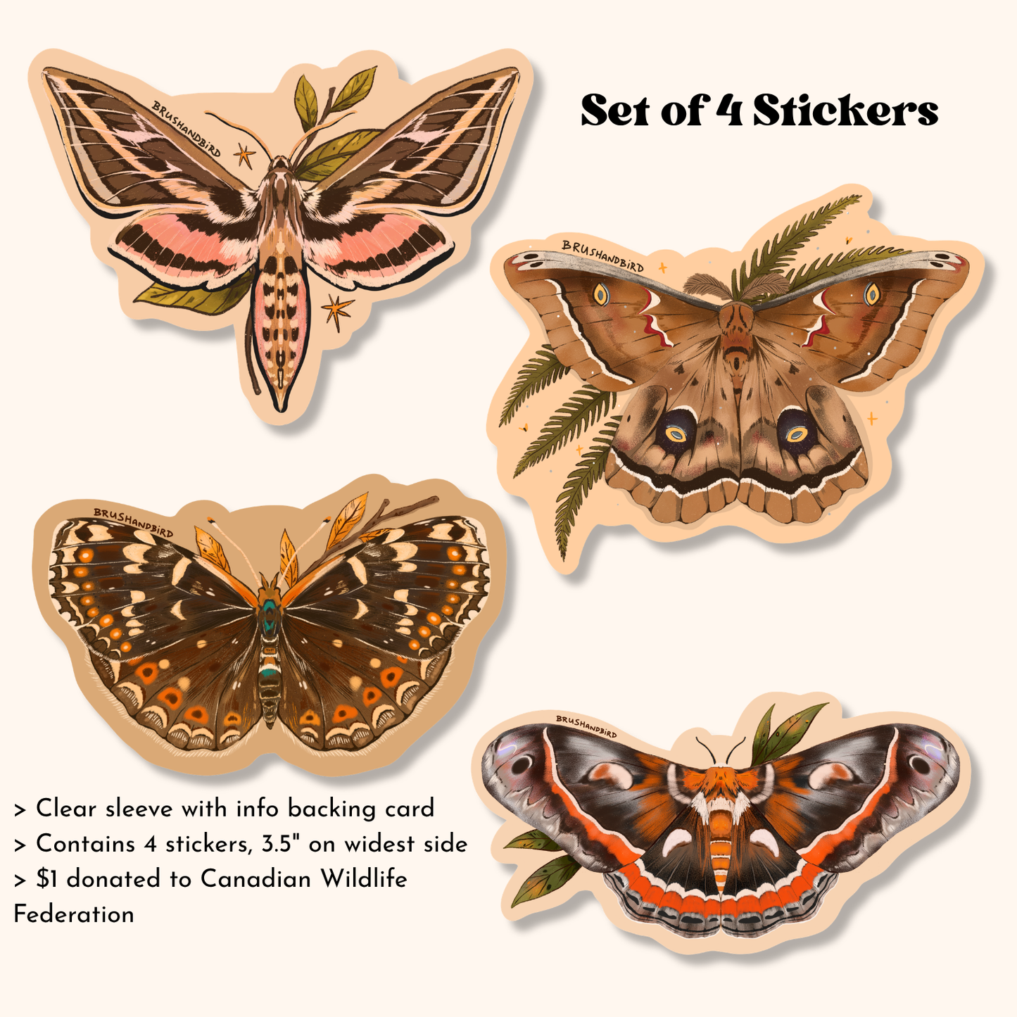 North American Moths Sticker Pack | Set of 4 Waterproof Vinyl Stickers