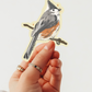 Hand holding a tufted titmouse bird sticker on a plain background