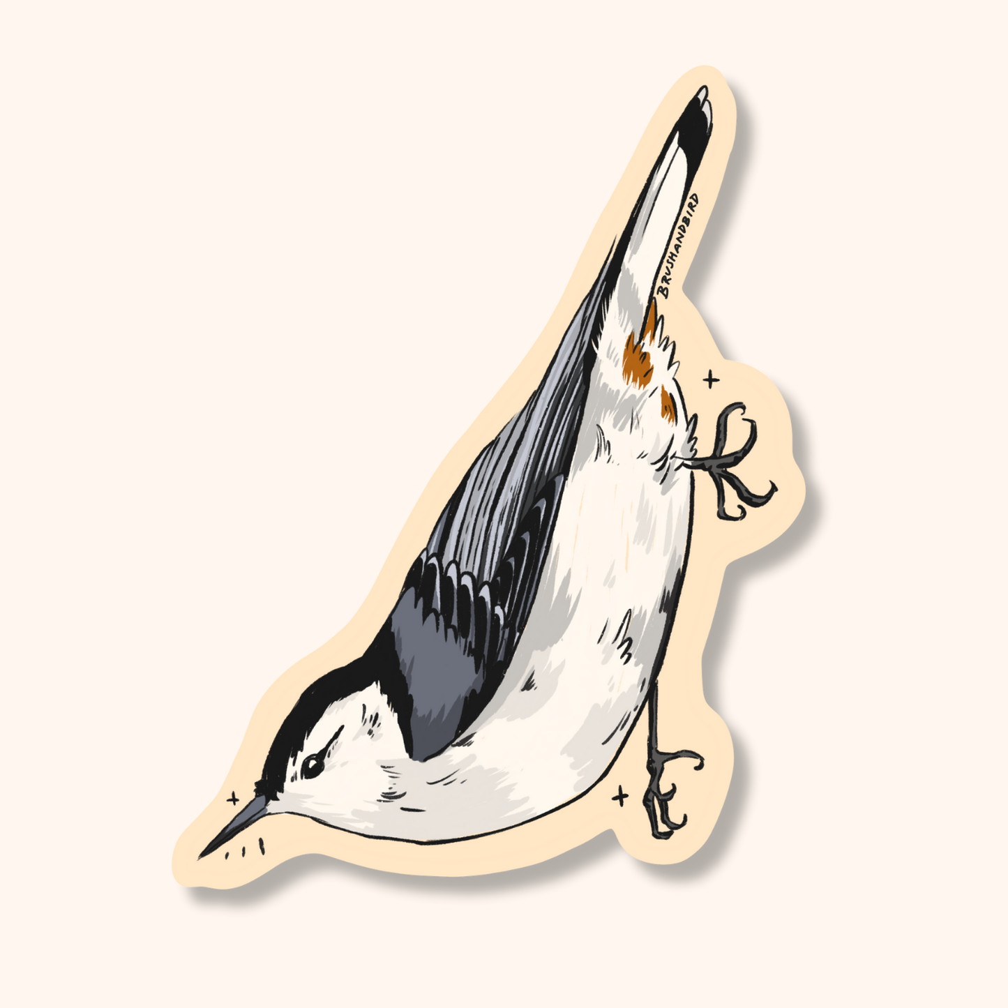 White Breasted Nuthatch Sticker | Bird Lover Waterproof Vinyl Die Cut
