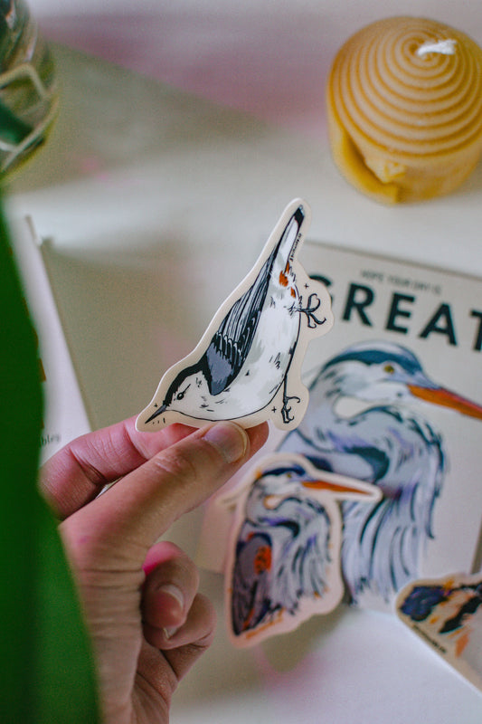 Hand holding a sticker of a white breasted nuthatch with a blurred background