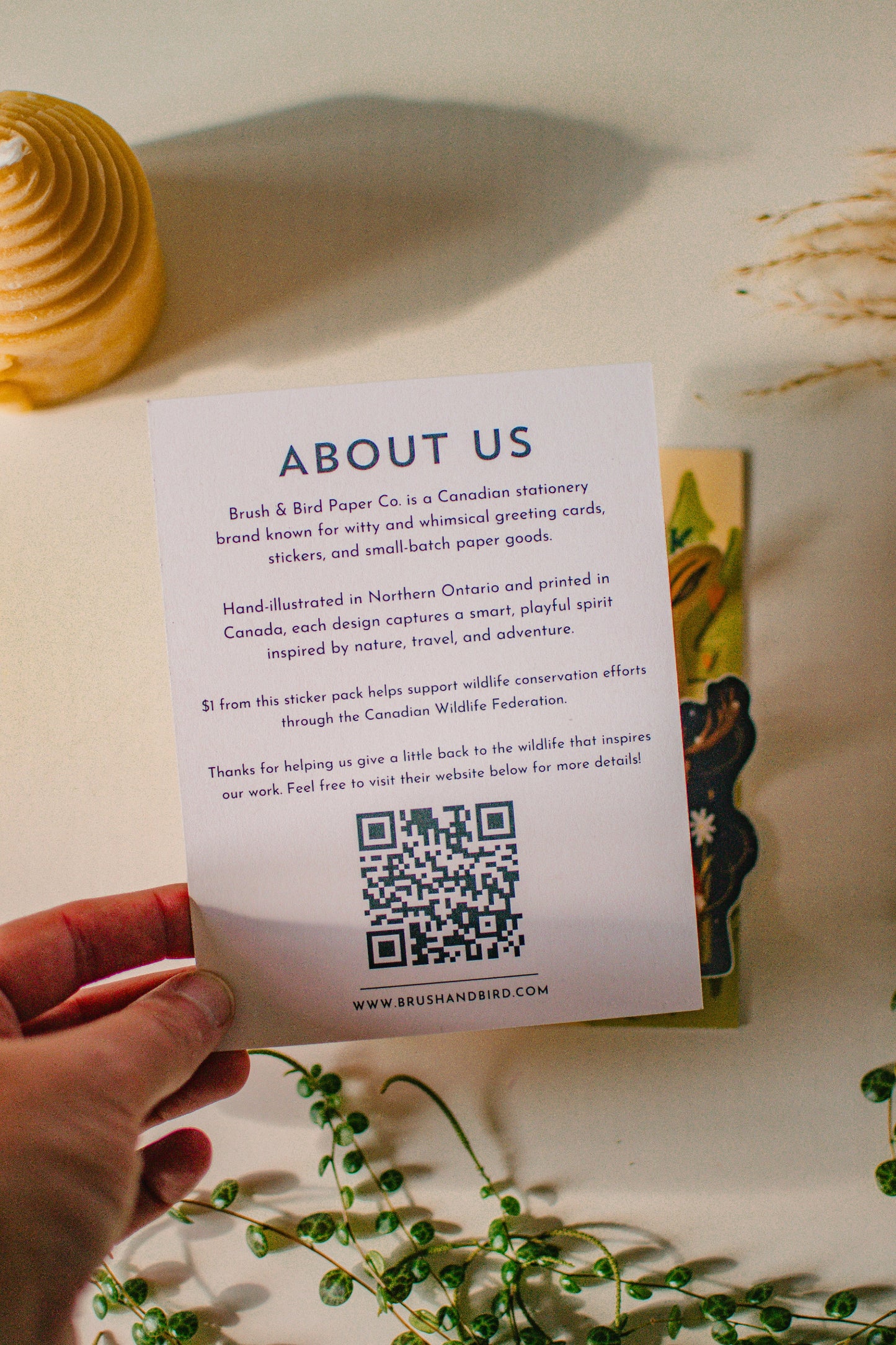 Hand holding a card with 'About Us' text and a QR code on a light background