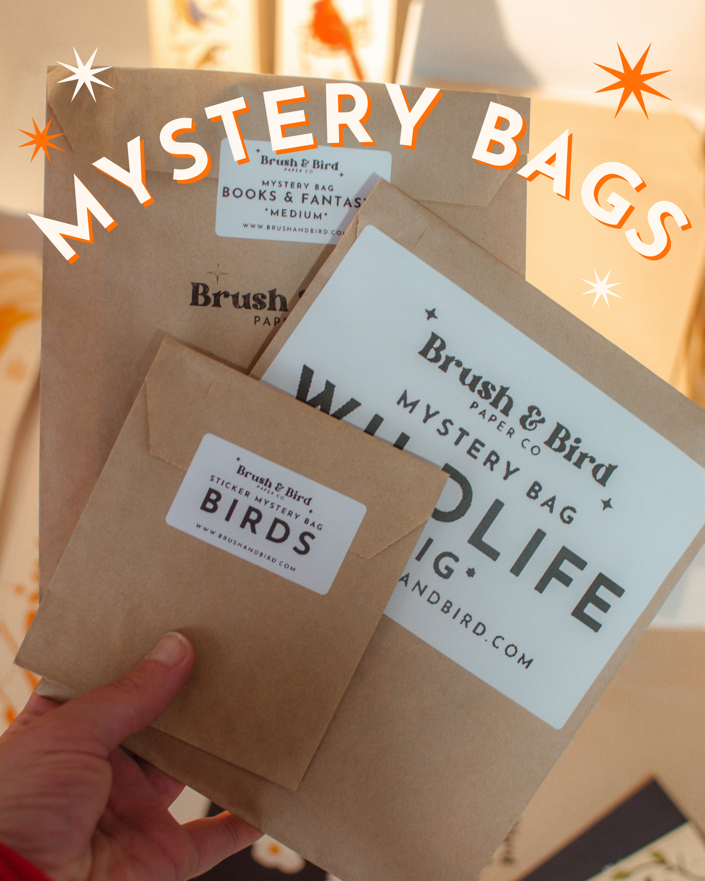 Mystery Bags | Stickers, Prints, Bookmarks, and More!