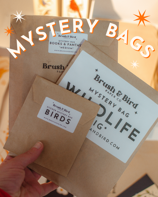 Mystery Bags | Stickers, Prints, Bookmarks, and More!