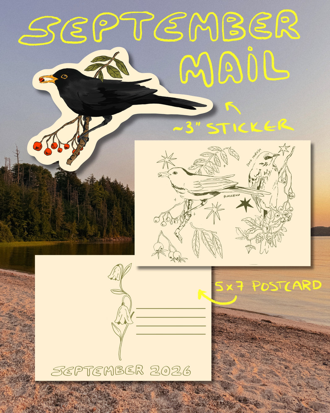 Snail Mail | Previous Editions – Brush and Bird