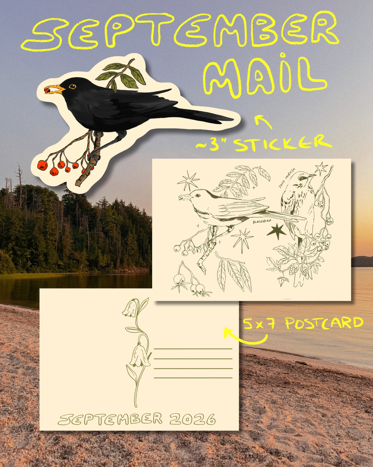Monthly Snail Mail (Pre-Order)