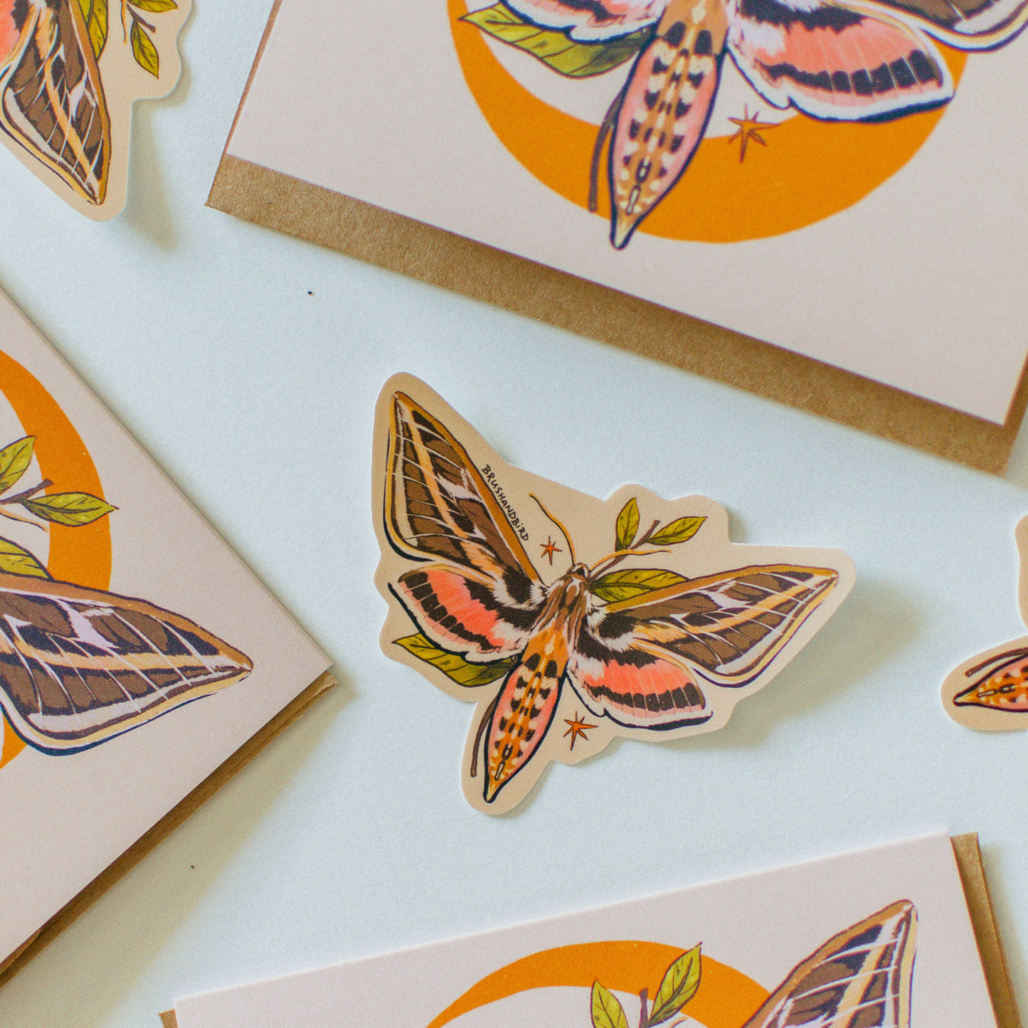 White-Lined Sphinx Moth Sticker | Nature Lover Gift