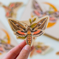 White-Lined Sphinx Moth Sticker | Nature Lover Gift