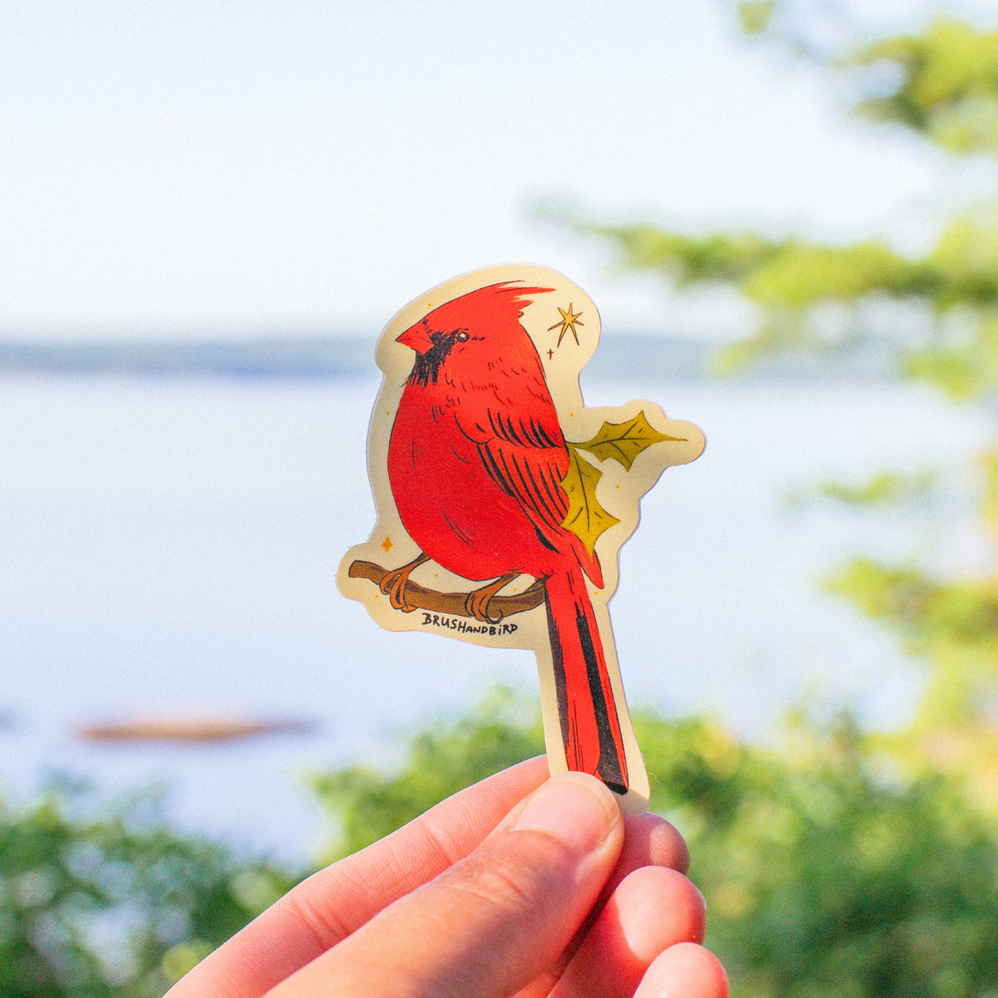 Northern Cardinal Sticker | Waterproof Bird Vinyl Decal