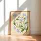 Blue Daisy Wildflower Poster | Spring Home Decor Wall Art Print